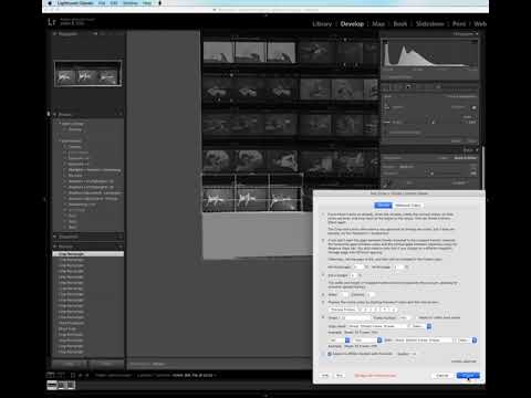 Dividing a contact sheet into strips of 3 frames using the Any Crop Lightroom plugin