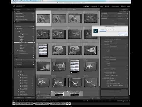 Dividing a contact sheet into frames using the Any Crop Lightroom plugn
